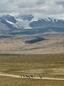 新疆骑行指南 A Guide to Cycling in Xinjiang